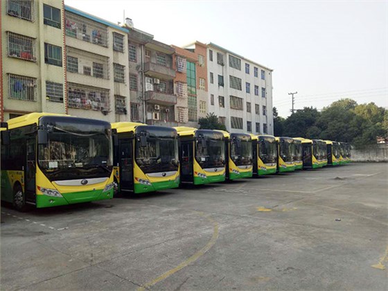 郴汽集團(tuán)嘉禾城鄉(xiāng)公交好司機(jī)，百萬存折尋失主