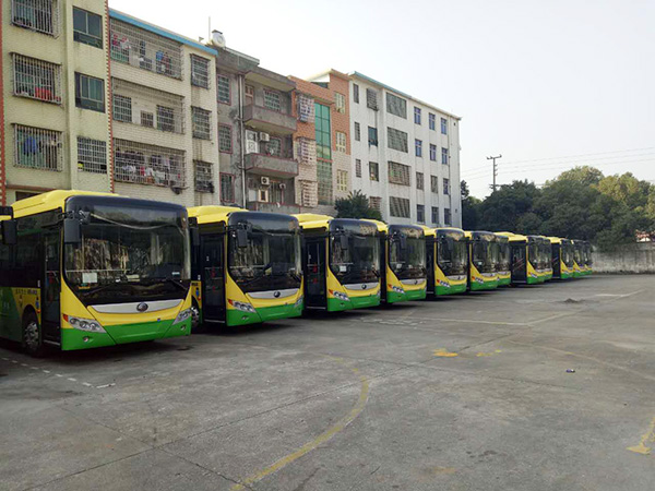 郴汽集團(tuán)嘉禾城鄉(xiāng)公交好司機(jī)，百萬(wàn)存折尋失主